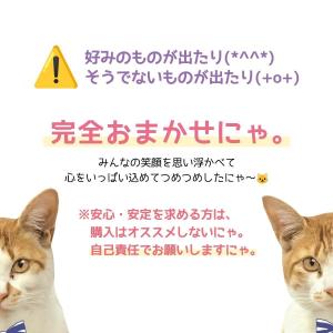 ■福袋 スタッフお任せ♪ 運試し 39(サンキ...の詳細画像3