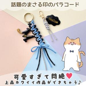 キーホルダー 5個 スタンダード ナスカン 約...の詳細画像1