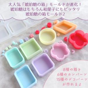 シリコン型・モールド 琥珀糖の箱2 シリコンモ...の詳細画像1