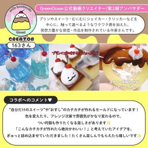 シリコン型・モールド 163さんコラボ カチカ...の詳細画像3