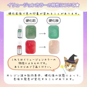 着色剤 レジン着色剤 カラリー イリュージョン...の詳細画像1
