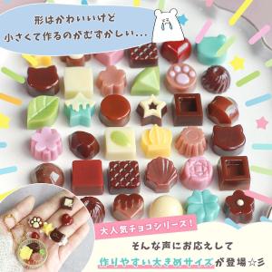 シリコン型・モールド Lサイズ 大きめチョコレ...の詳細画像1