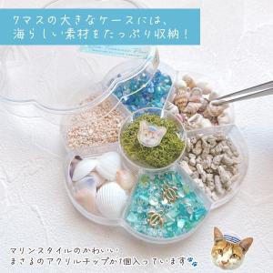 封入 まさるの海のたからばこ 封入7種セット ...の詳細画像2