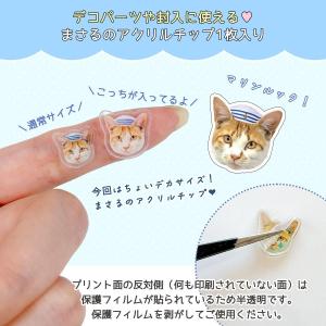 封入 まさるの海のたからばこ 封入7種セット ...の詳細画像3