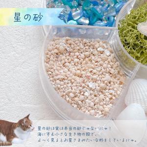 封入 まさるの海のたからばこ 封入7種セット ...の詳細画像4