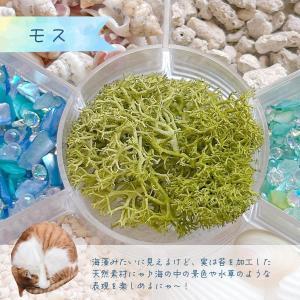 封入 まさるの海のたからばこ 封入7種セット ...の詳細画像5