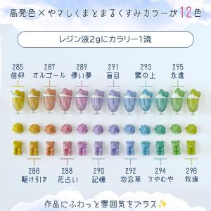 着色剤 レジン着色剤 カラリー ニュアンスカラ...の詳細画像4