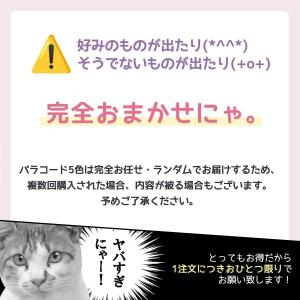 □■ゆうパケ送料無料福袋 1000円ポッキリ♪...の詳細画像4