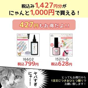 □■ゆうパケ送料無料福袋 1000円ポッキリ♪...の詳細画像2