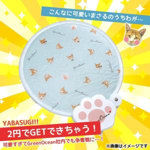 ■条件あり! 商品計税込4500円以上でまさる...の詳細画像2