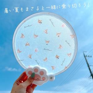 ■条件あり! 商品計税込4500円以上でまさる...の詳細画像5