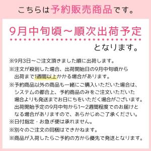 ▲予約商品 リラックマ レジンでつくる! リラ...の詳細画像1