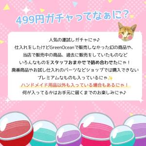 ■福袋 スタッフお任せ♪ 運試し499円ガチャ...の詳細画像1