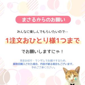 ■福袋 スタッフお任せ♪ 運試し499円ガチャ...の詳細画像2