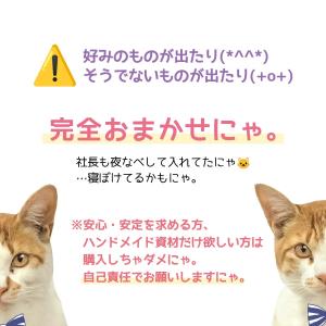 ■福袋 スタッフお任せ♪ 運試し499円ガチャ...の詳細画像3