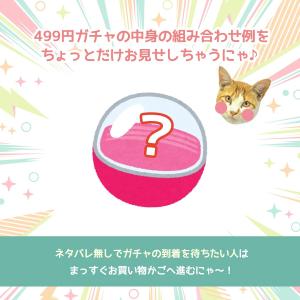 ■福袋 スタッフお任せ♪ 運試し499円ガチャ...の詳細画像4