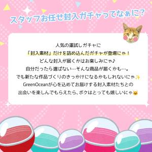 ■福袋 スタッフお任せ♪ 運試し 封入素材ガチ...の詳細画像1