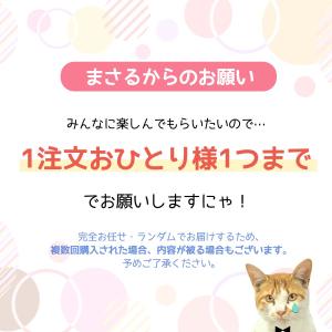 ■福袋 スタッフお任せ♪ 運試し 封入素材ガチ...の詳細画像2