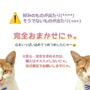 ■福袋 『ボクが選ぶにゃ!まさるにおまかせHA...の詳細画像2