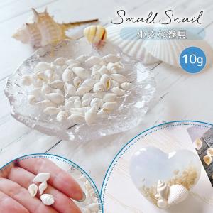 自然素材 10g 本物の小さな巻貝 レジン封入素材 封入パーツ シェイカー デコパーツ 小さい 白い貝殻 巻き貝 海 マリン 夏 少量 UVレジン クラフト 夏休み 工作