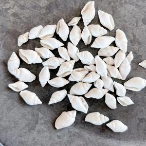 自然素材 10g 本物の小さな巻貝 レジン封入...の詳細画像1