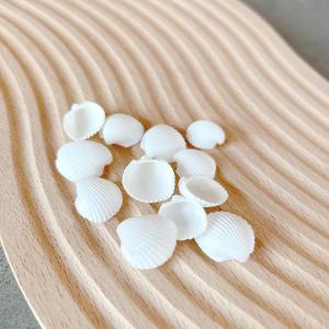 自然素材 8g 本物の小さな白い貝殻 レジン封...の詳細画像2