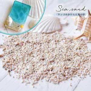 自然素材 20g 本物のサンゴのかけら＆海の砂ミックス 3mm程度 レジン封入素材 デコパーツ サンド 海 マリン 砂浜 少量 UVレジン 手芸 クラフト 夏休み 工作