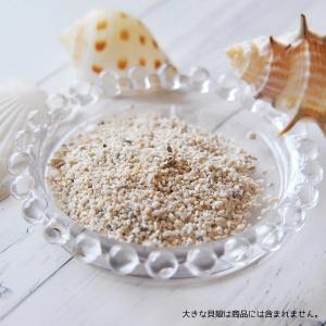 自然素材 20g 本物のサンゴのかけら&海の砂...の詳細画像2