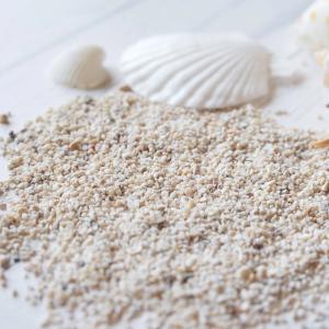 自然素材 20g 本物のサンゴのかけら&海の砂...の詳細画像3