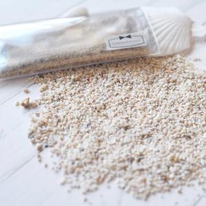 自然素材 20g 本物のサンゴのかけら&海の砂...の詳細画像4