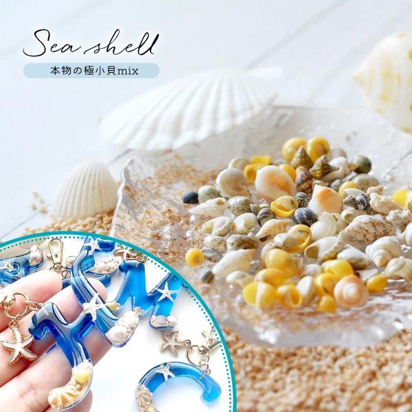 自然素材 10g 本物の小さな貝殻ミックス 極小 レジン封入素材 パーツ デコパーツ シェル 巻き貝...