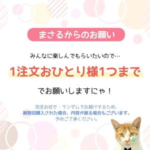 □■ゆうパケ送料無料福袋 1000円ポッキリ♪...の詳細画像4