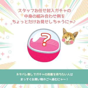□■ゆうパケ送料無料福袋 1000円ポッキリ♪...の詳細画像5