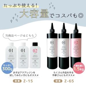 大容量!!2液性レジン液 300g NEWアク...の詳細画像2