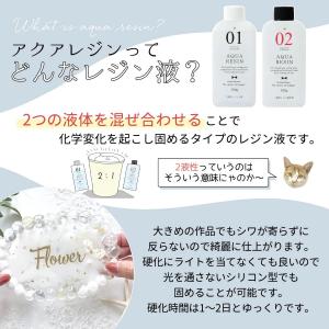 大容量!!2液性レジン液 300g NEWアク...の詳細画像3