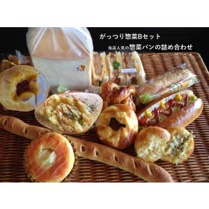 がっつり　惣菜パン　Ｂセット　送料無料　一部地区除く　おかずパン好きにおすすめの惣菜系パンセット