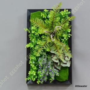 人工観葉植物 壁掛け フェイクグリーン 多肉植物...の商品画像