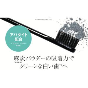 野州麻炭Lab 麻炭 ホワイトニング パウダー...の詳細画像2