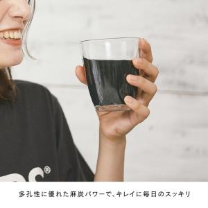HEMPS ヘンプス 国産 麻炭パウダー 45...の詳細画像1