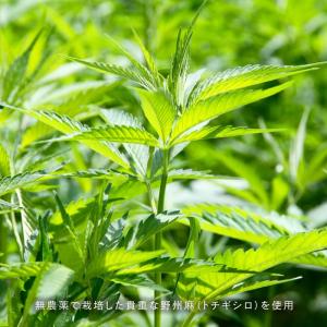 HEMPS ヘンプス 国産 麻炭パウダー 45...の詳細画像4