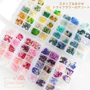 ドライフラワー ミックス セット レジン アクセサリーパーツ 1907 assort135 ハーバリウム 押し花　春 3set迄ゆうパケット可 GreenRoseYumi｜greenrosenetshopyumi