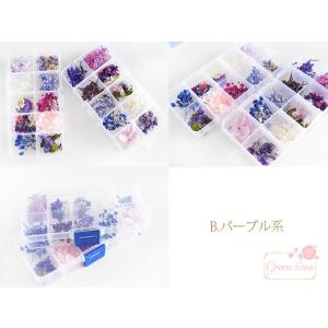 ドライフラワー ミックス セット レジン アク...の詳細画像3