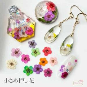 小さめ 押し花 レジン ネイル 封入パーツ ケース入り