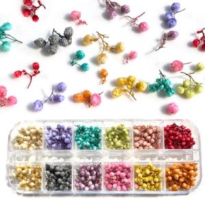 レジン 封入 素材 材料 ドライフラワー 粒々 つぼみ 蕾 レジンアクセサリー 花 レジンクラフト ハーバリウム 花材 【f70】2304 GreenRoseYumi