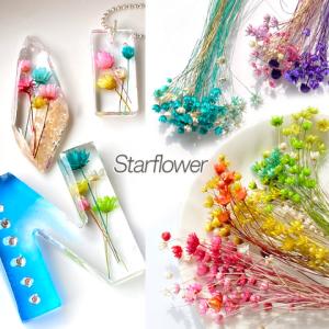 スターフラワー ドライフラワー レジン 封入 素材 材料 ハーバリウム 花材 ちょっと訳あり 1g f72 GreenRoseYumi｜greenrosenetshopyumi