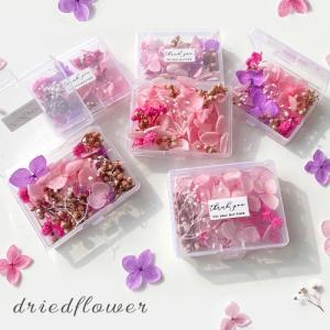 ドライフラワー ピンク系 紫陽花 カスミソウ ミックス レジン レジンアクセサリー 花レジン フラワーレジン 封入 素材 材料 花材 ケース入り 1個 f90 2605 2606