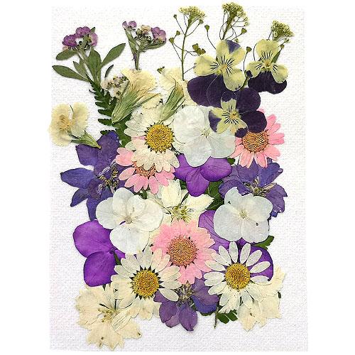 押し花 ミックス ホワイト・パープル・ピンク 14×10cmサイズ 1枚 2209 当日発送 pf2...