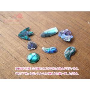 レジン 封入 シェル 貝 パーツ 素材 シェル...の詳細画像4