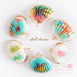 巻貝 貝殻 青緑 白 ブルーグリーン系 ホワイト系 大サイズ 海 マリン