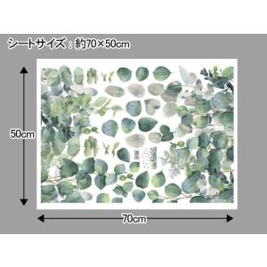 当日発送ウォールステッカー 植物柄 1枚 全2...の詳細画像2